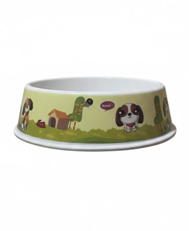 Pet Feeding Bowls